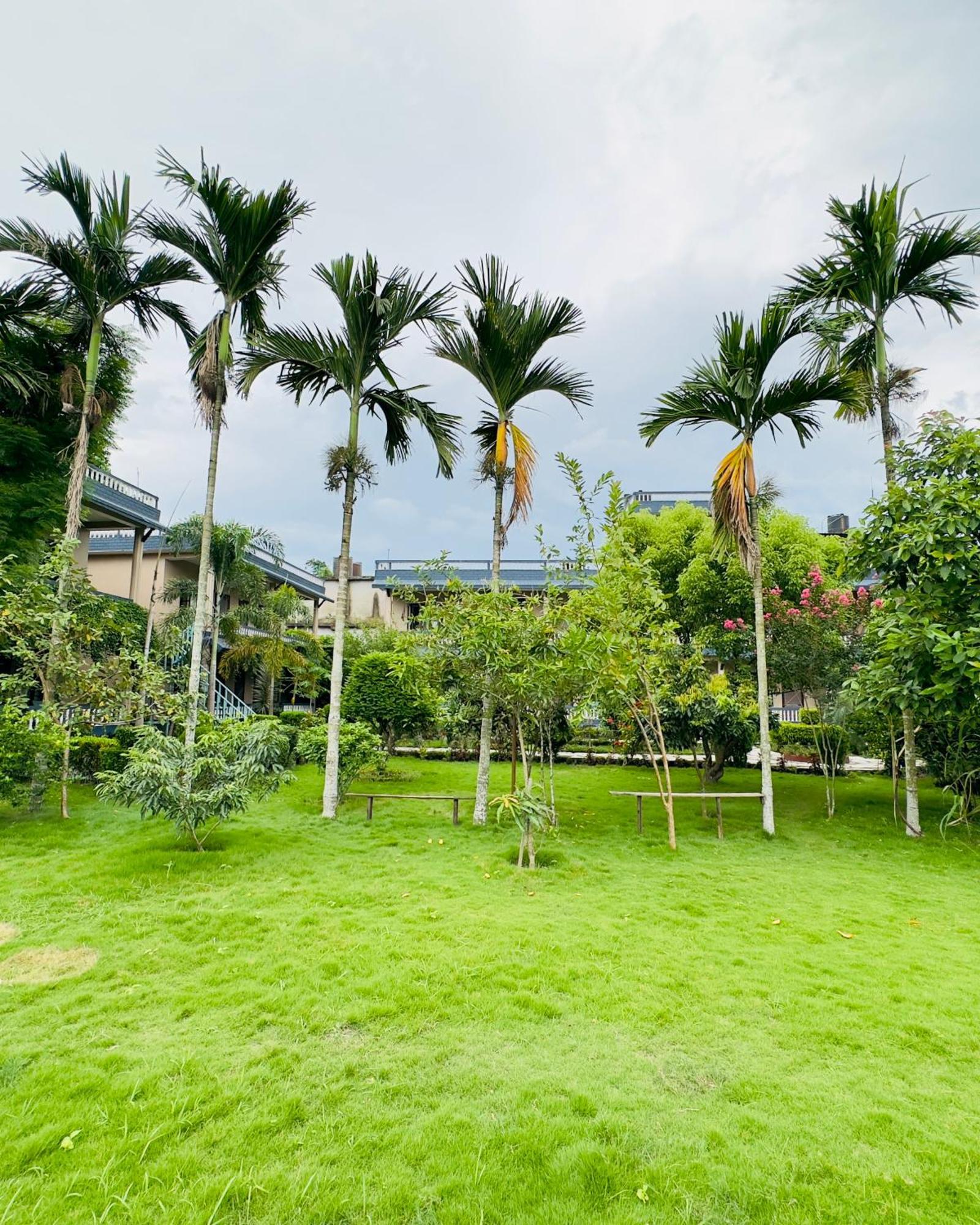 Chitwan Village Resort Sauraha Exterior photo
