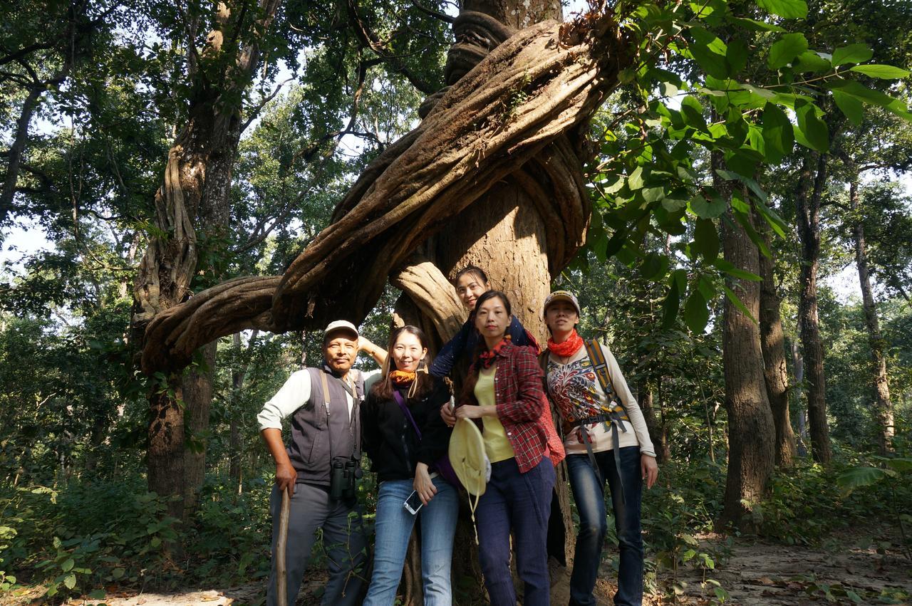 Chitwan Village Resort Sauraha Exterior photo