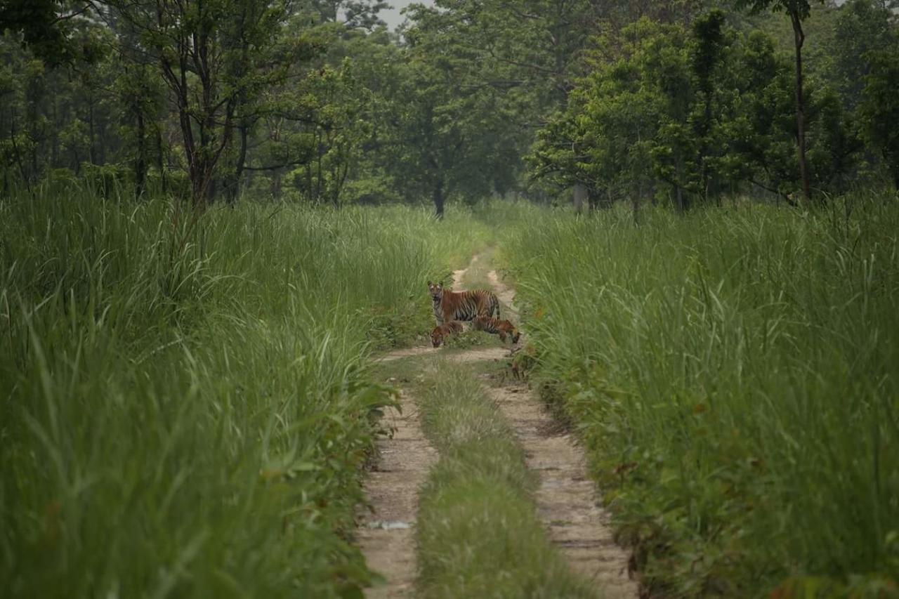 Chitwan Village Resort Sauraha Exterior photo