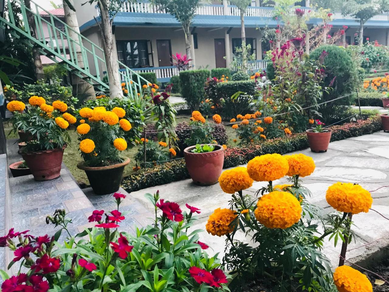 Chitwan Village Resort Sauraha Exterior photo